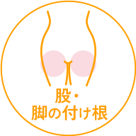 股・脚の付け根