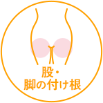 股・脚の付け根