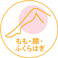 もも・膝・ふくらはぎ
