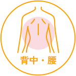 背中・腰